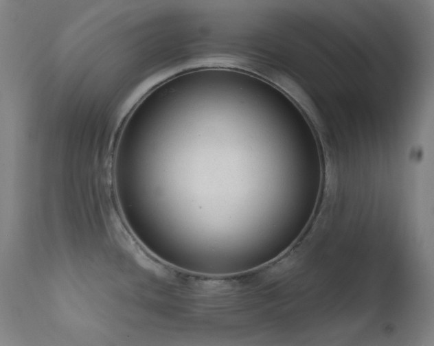 X0000111461436200907131444