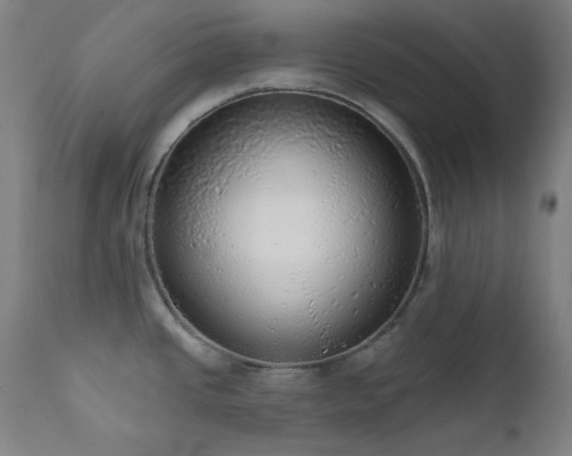 X0000111461437200907131444