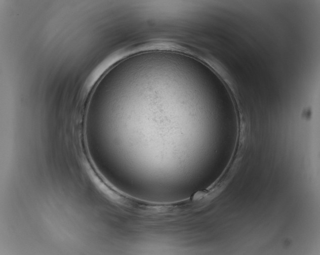 X0000111461438200907131444
