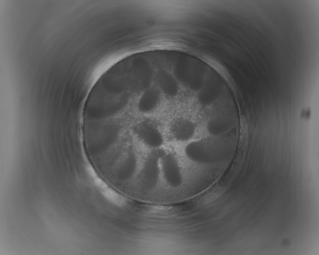 X0000111461439200907131444