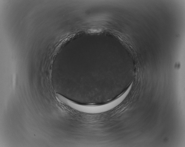 X0000111461441200907131443