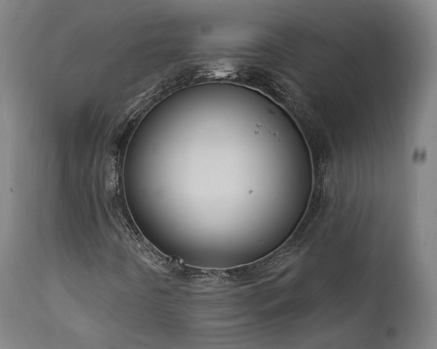 X0000111461442200907131443