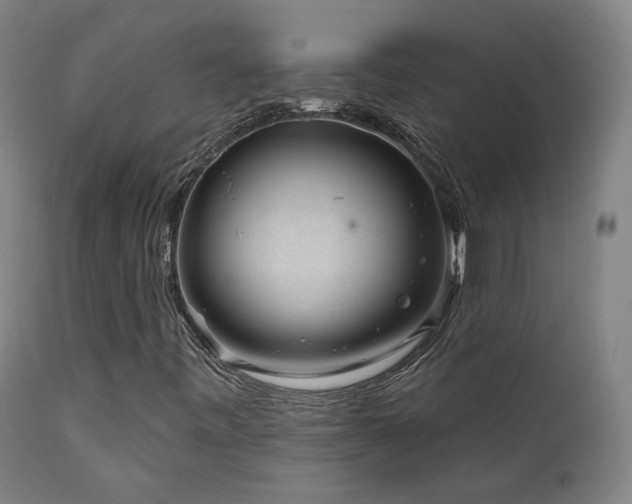 X0000111461443200907131443