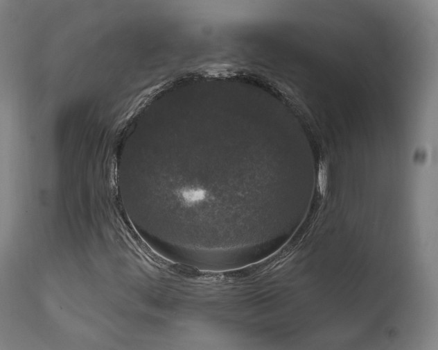 X0000111461444200907131443