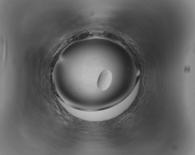 X0000111461445200907131443