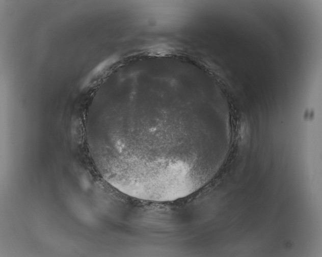 X0000111461446200907131443