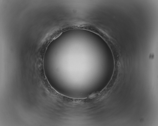 X0000111461447200907131443
