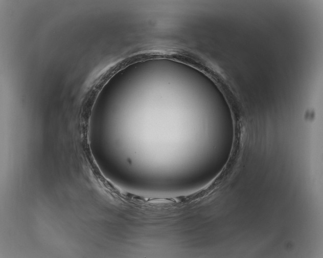 X0000111461448200907131443