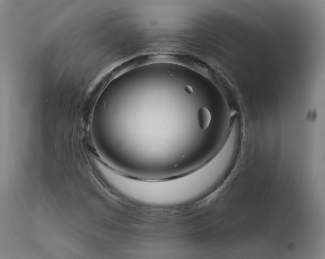 X0000111461449200907131443