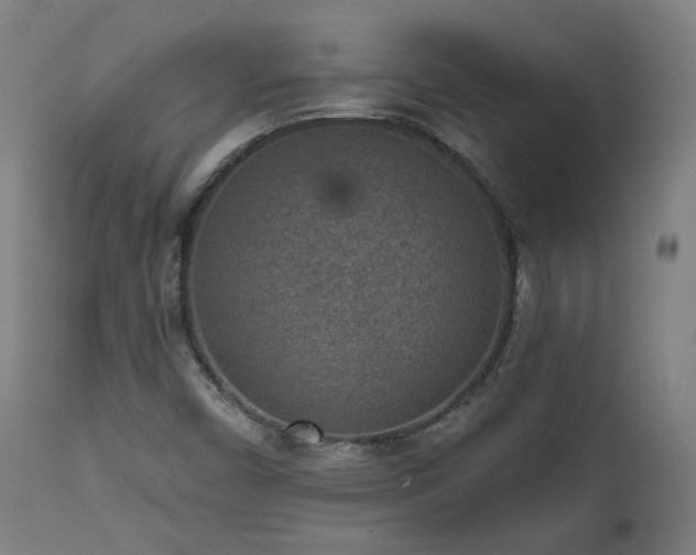 X0000111461450200907131443
