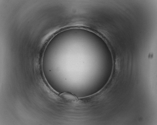 X0000111461452200907131443