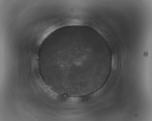 X0000111461453200907131443