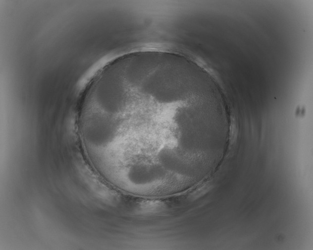 X0000111461454200907131443