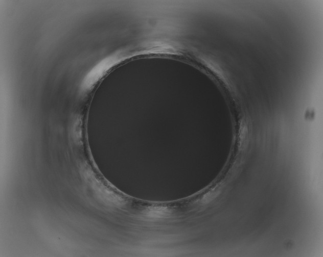 X0000111461455200907131443