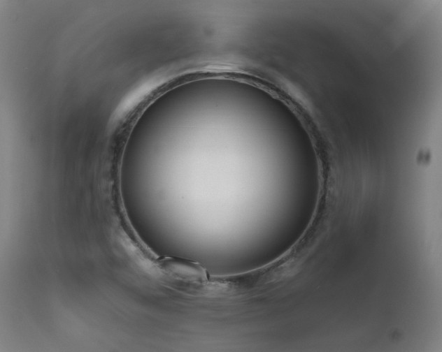 X0000111461456200907131443