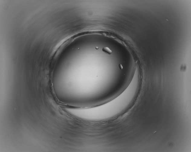 X0000111461457200907131443