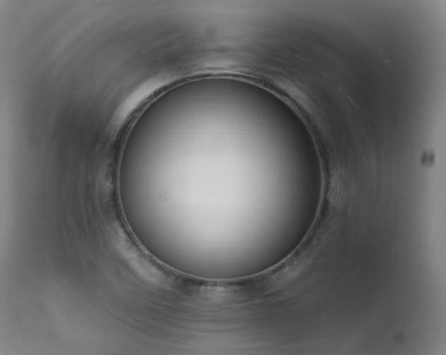 X0000111461458200907131443