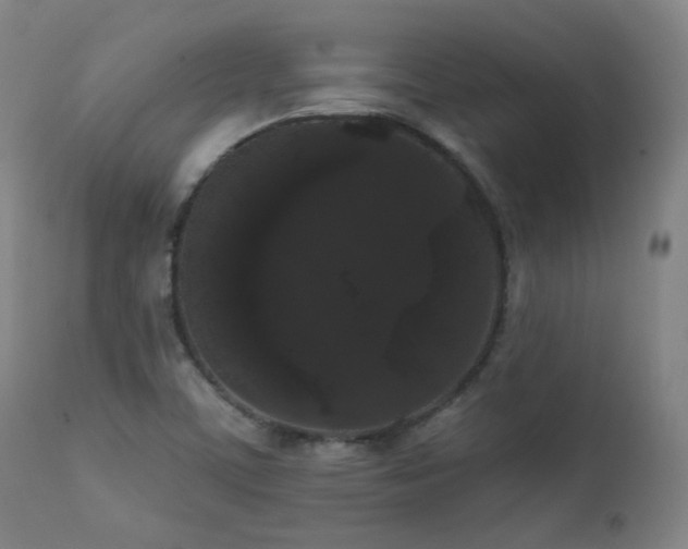 X0000111461459200907131443