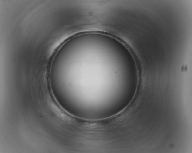 X0000111461460200907131443
