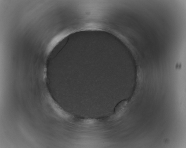 X0000111461461200907131443