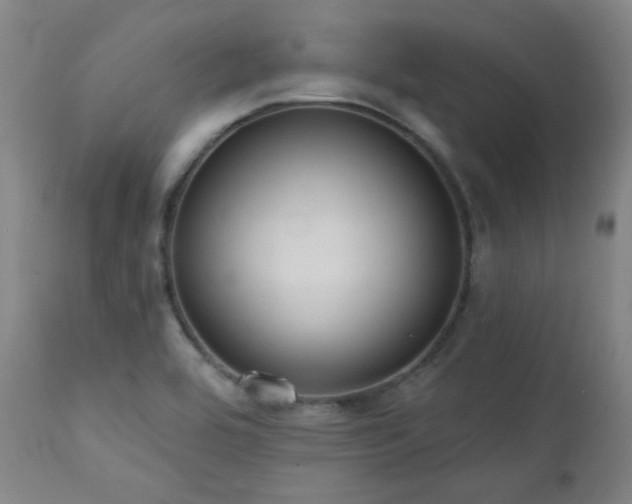 X0000111461464200907131443