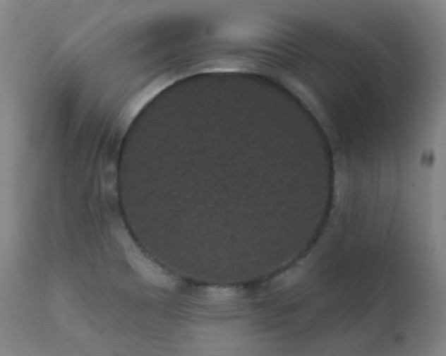 X0000111461465200907131443