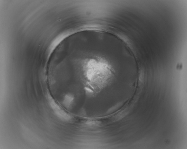 X0000111461466200907131443