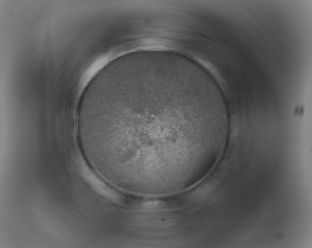 X0000111461467200907131443