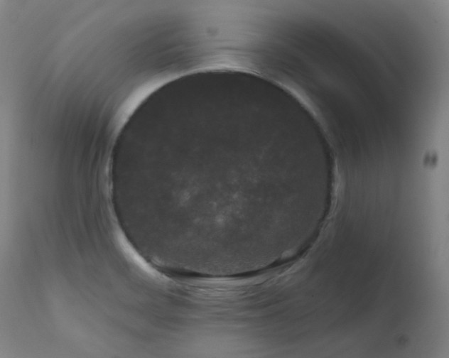 X0000111461468200907131443