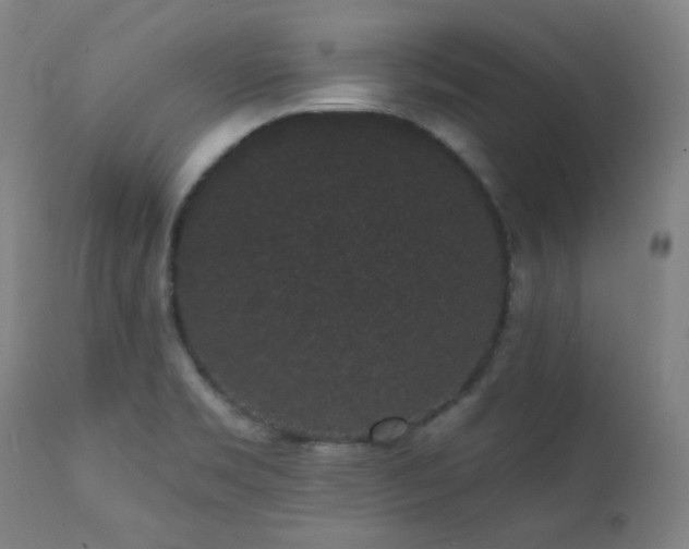 X0000111461469200907131443