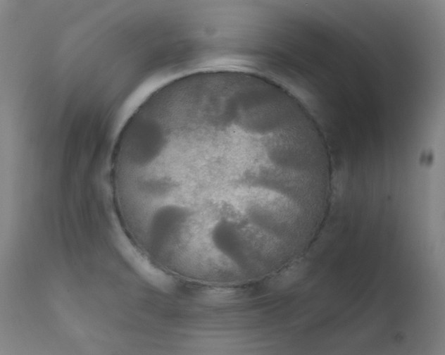 X0000111461470200907131443