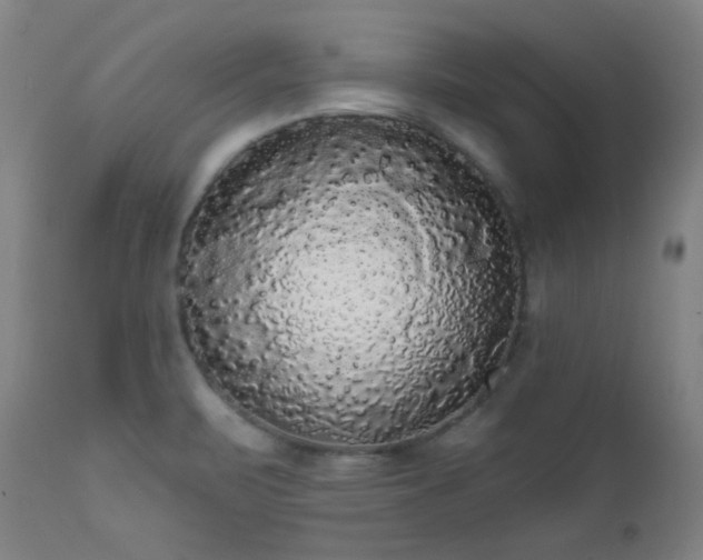X0000111461471200907131443