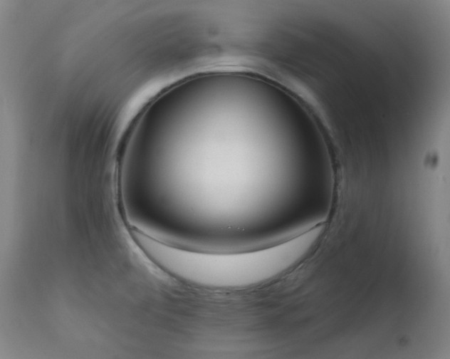 X0000111461472200907131443