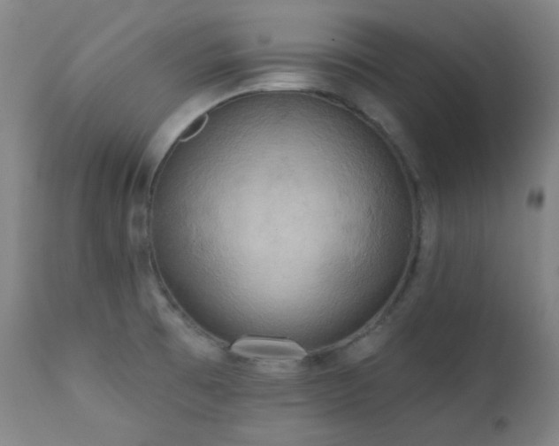 X0000111461473200907131443