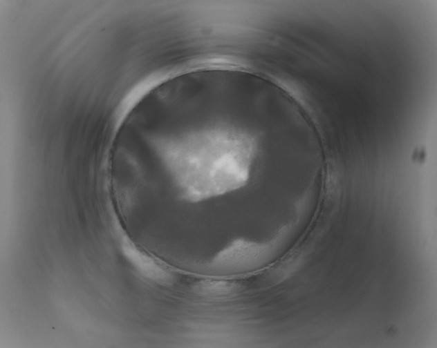 X0000111461474200907131443