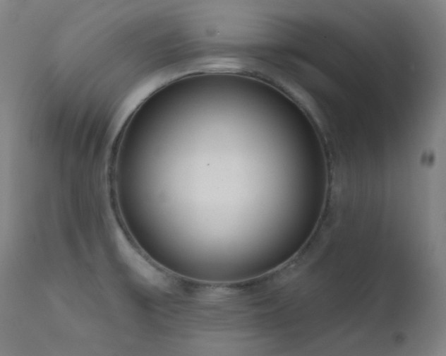 X0000111461475200907131443