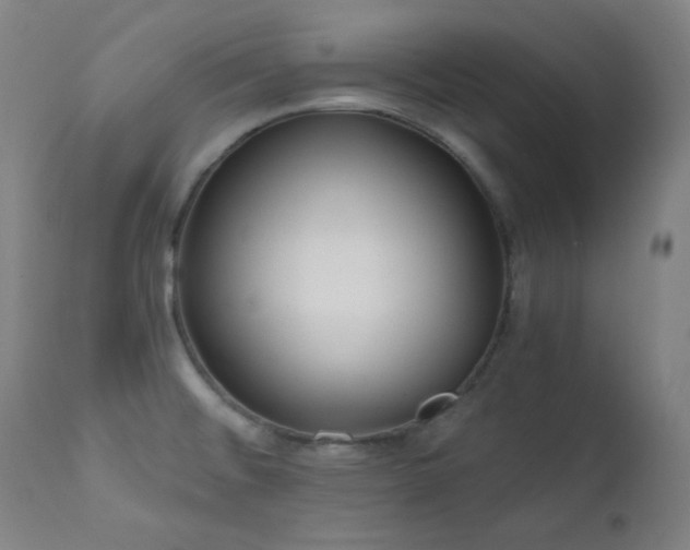 X0000111461476200907131443