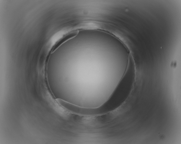 X0000111461477200907131443