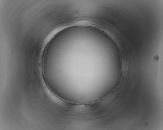X0000111461478200907131443