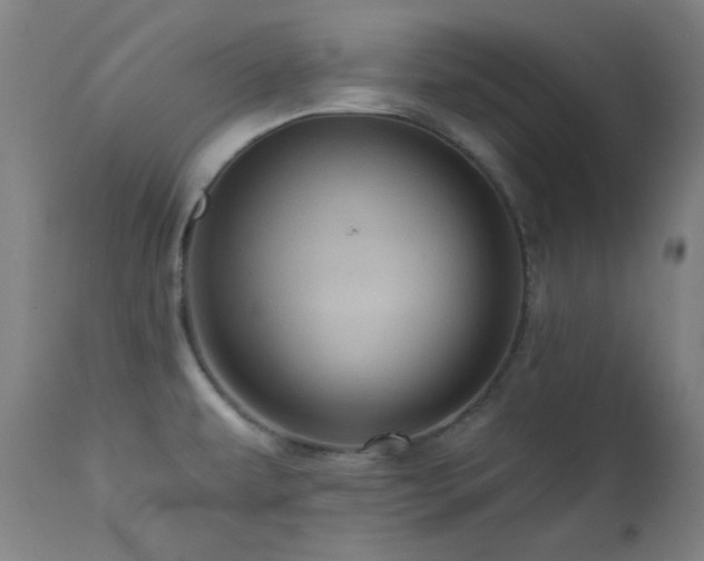X0000111461479200907131443