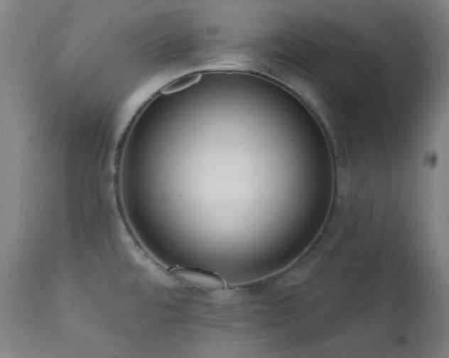X0000111461480200907131443