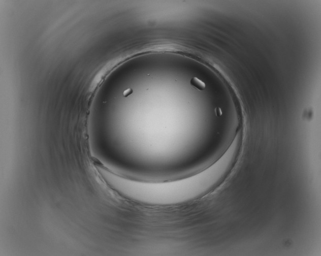 X0000111461481200907131443