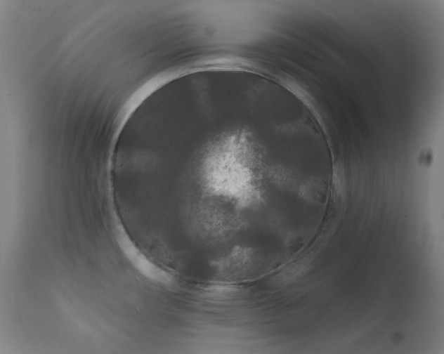 X0000111461482200907131443