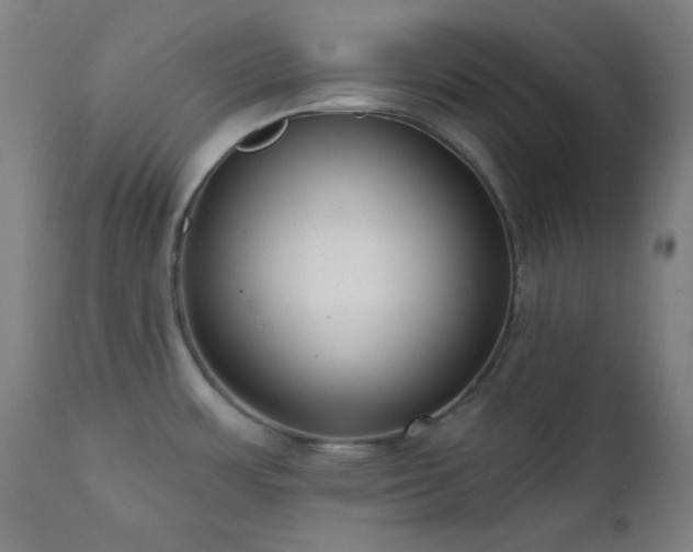 X0000111461483200907131443