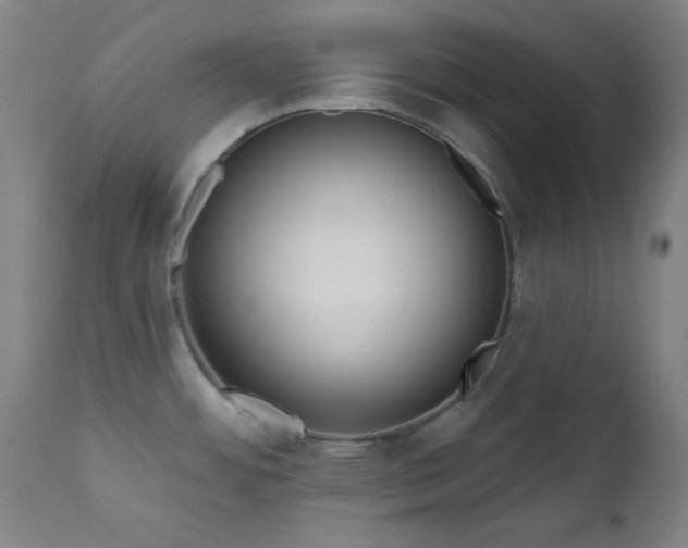 X0000111461484200907131443