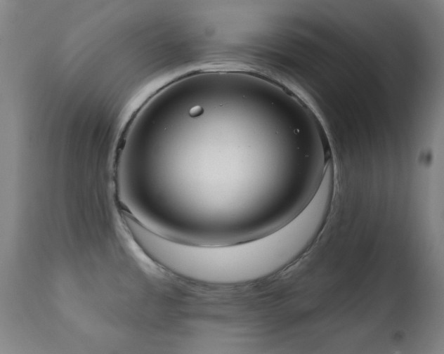 X0000111461485200907131443
