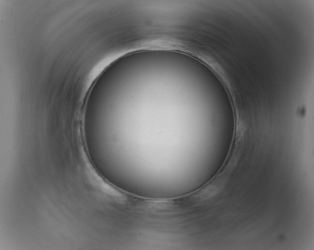 X0000111461486200907131443