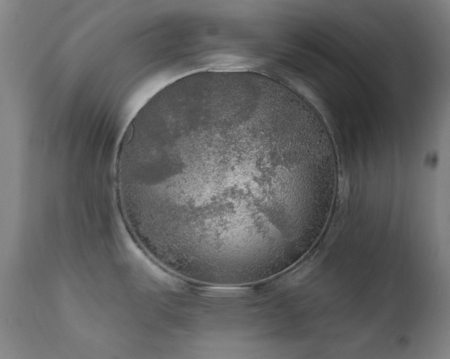 X0000111461487200907131442