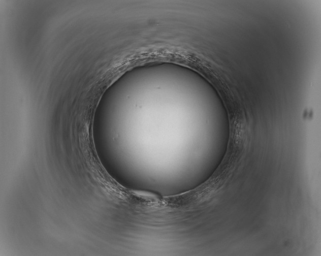 X0000111461489200907131442