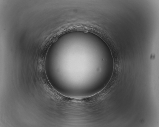 X0000111461490200907131442